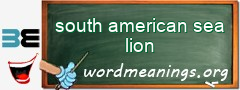 WordMeaning blackboard for south american sea lion